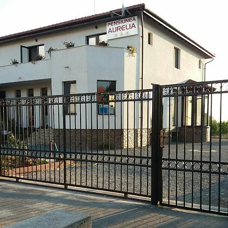 Pensiunea Aurelia Siria Exterior foto